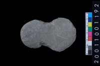 藏品(石網墜殘件)的圖片