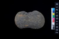 藏品(石網墜殘件)的圖片