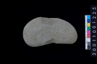 藏品(石網墜殘件)的圖片