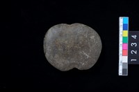 藏品(石網墜)的圖片