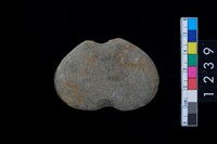 藏品(石網墜)的圖片