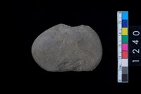 藏品(石網墜殘件)的圖片