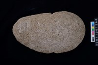 藏品(石網墜)的圖片