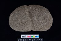 藏品(石網墜)的圖片