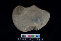 藏品(石網墜殘件)的圖片