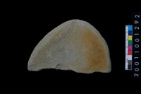 藏品(砥石)的圖片