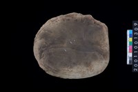 藏品(砥石)的圖片