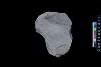 藏品(磨製石斧)的圖片