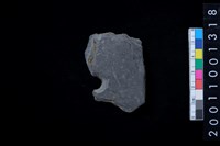 藏品(帶穿孔板岩片)的圖片