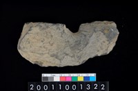 藏品(帶穿孔板岩片)的圖片