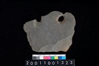 藏品(帶穿孔板岩片)的圖片