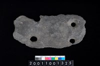 藏品(帶穿孔板岩片)的圖片