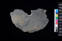 藏品(帶穿板岩片)的圖片