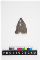 藏品(矛鏃)的圖片