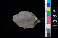 藏品(矛鏃殘件)的圖片