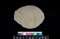 藏品(石片)的圖片