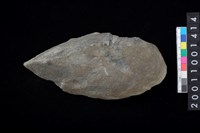 藏品(不明石器)的圖片