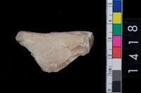 藏品(石器殘件)的圖片