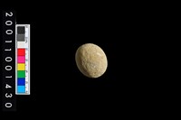 藏品(石球)的圖片