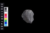 藏品(有槽石棒殘件)的圖片