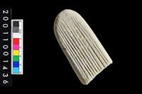 藏品(有槽石棒殘件)的圖片