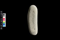 藏品(石錘)的圖片