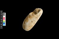 藏品(石錘殘件)的圖片