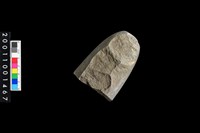 藏品(石錘殘件)的圖片