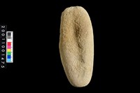 藏品(石錘)的圖片