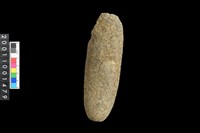 藏品(石錘殘件)的圖片