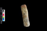 藏品(石錘殘件)的圖片