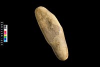 藏品(石錘)的圖片