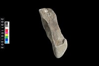 藏品(石錘殘件)的圖片