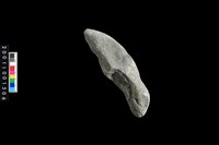 藏品(石錘)的圖片