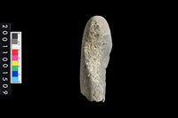 藏品(石錘殘件)的圖片