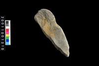 藏品(石錘殘件)的圖片