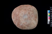 藏品(石錘)的圖片