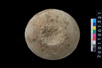 藏品(石錘)的圖片