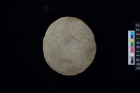 藏品(石錘)的圖片