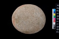 藏品(石錘)的圖片