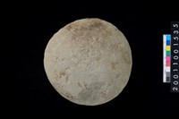 藏品(石錘)的圖片