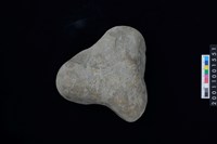 藏品(石錘)的圖片