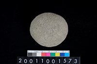 藏品(石托)的圖片