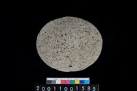 藏品(石托)的圖片