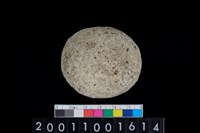 藏品(石托)的圖片