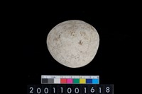 藏品(石托)的圖片