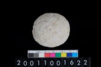 藏品(石托)的圖片