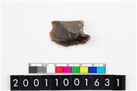 藏品(刮削器)的圖片