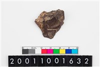 藏品(刮削器)的圖片