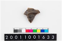 藏品(刮削器)的圖片